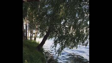 Фотографии Загородные дома Baza otdykha г. Чигиринка (Беларусь) №4 Фото Загородные дома Baza otdykha г. Чигиринка 4